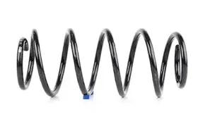 BSG 65-305-005 BSG Пружина ходовой части